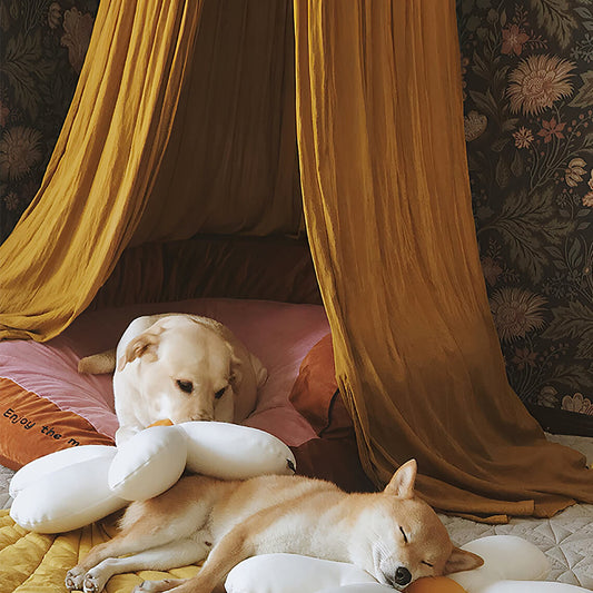 Super Soft Cozy Dog Tent Dog Teepee - Petmagicworld