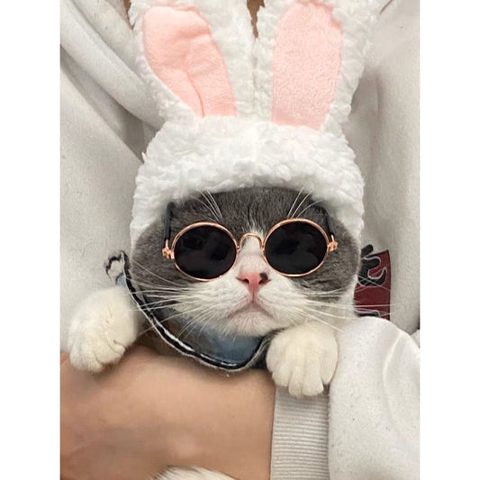 Sunglasses for Pet - Petmagicworld