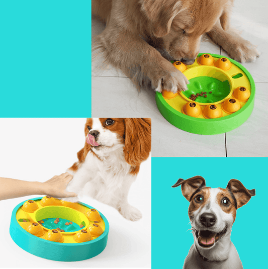 Pawzzle™ Pet Slow Feeder Spinner Training Game - Petmagicworld
