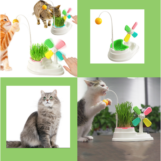 Windmill Interactive Cat Toy - Petmagicworld