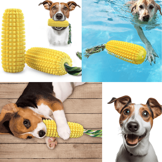 Interactive Dog Chew Corn Squeaker Toy - Petmagicworld