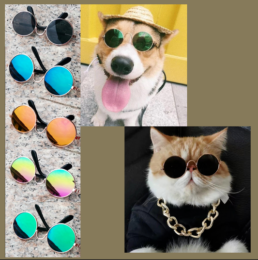 Sunglasses for Pet - Petmagicworld