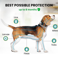 NaturalProtect - 8+ Months Protection against Ticks & Fleas