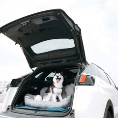 Dog Car Seat For Back - Petmagicworld