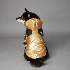 PawsGuard™ CanineShield Raincoat - Petmagicworld