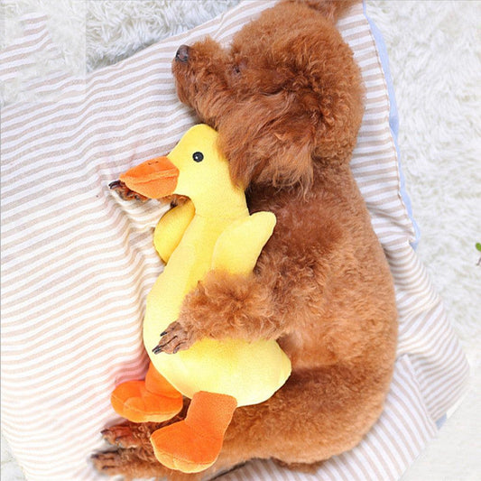 QuackPup™ Plush Melody Pet Toy - Petmagicworld