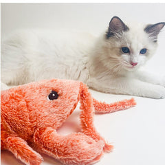 Jumping Lobster Plushie Toy - Petmagicworld
