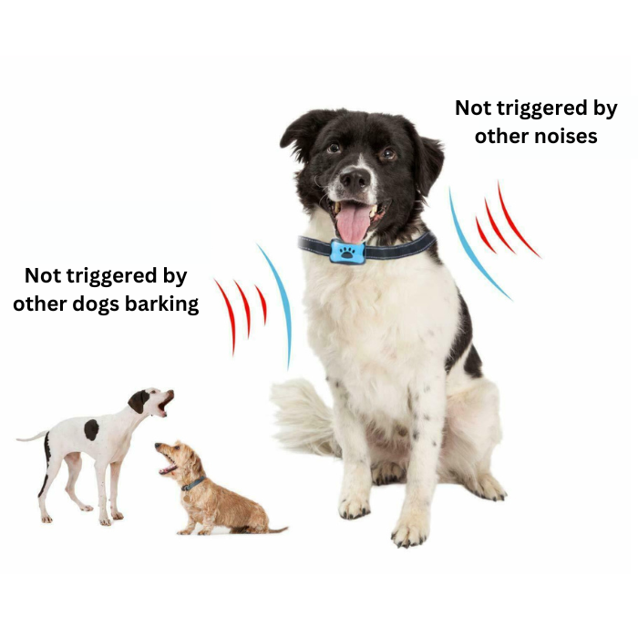 No Shock Smart Training Bark Collar for Dogs - Petmagicworld