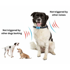 No Shock Smart Training Bark Collar for Dogs - Petmagicworld