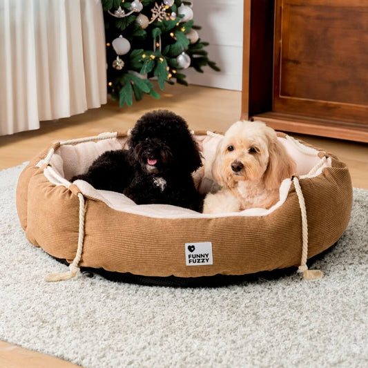 Playful Pull Rope Pet Bed Adjustable Chew-Resistant Dog & Cat Bed - Petmagicworld