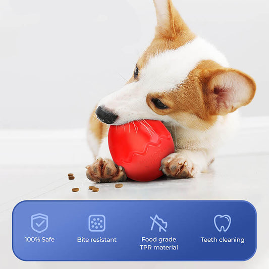 Egg Shape Slow Feeder Dog Chew Toys Interactive Dog Toys - Petmagicworld