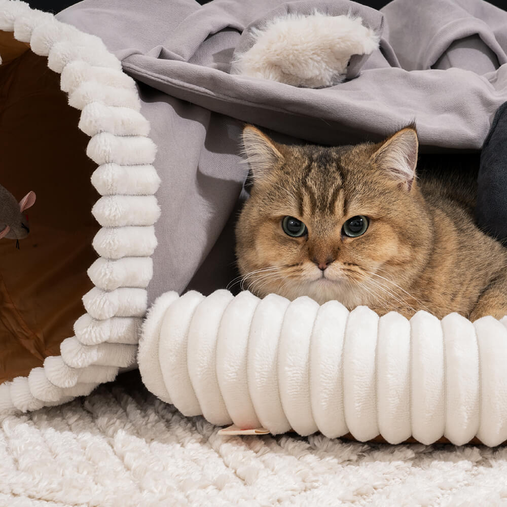 Koalaing 2 in 1 Foldable Indoor Soft Cat Tunnel Bed - Petmagicworld