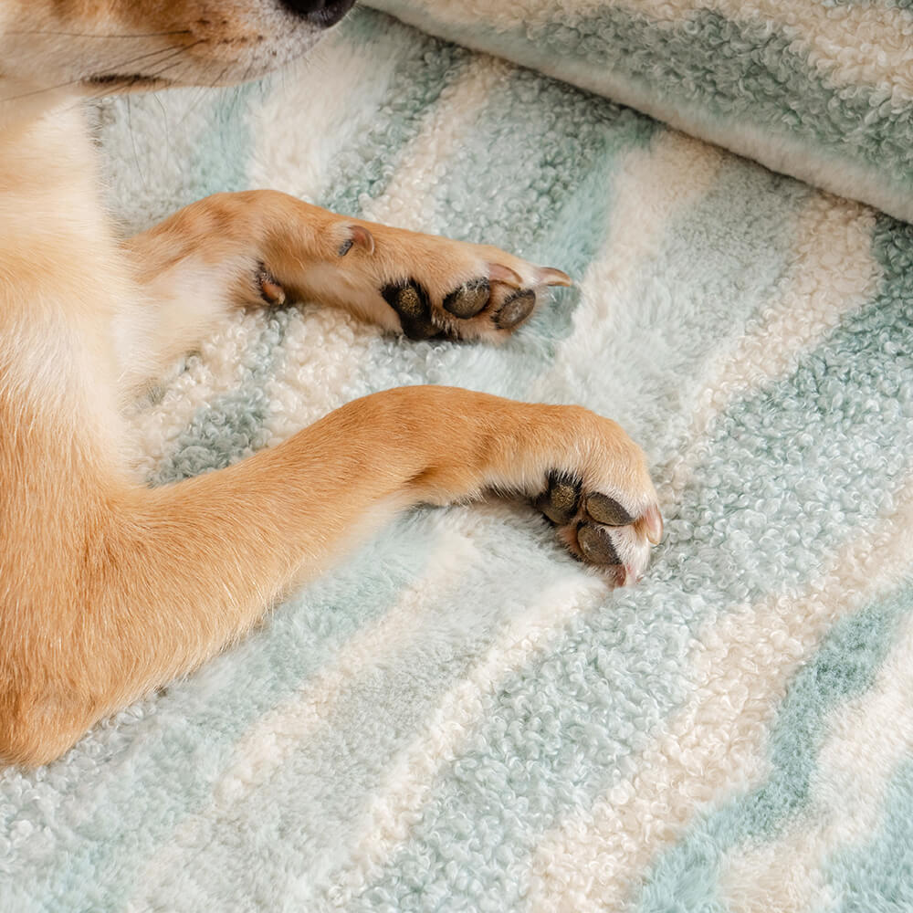 Modern Style Faux Lambswool Cozy Orthopedic Dog Sofa Bed - Petmagicworld