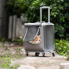 Dual Purpose Pet Trolley Case Carrier Cats Transparent Backpack with Silent Wheel - Petmagicworld
