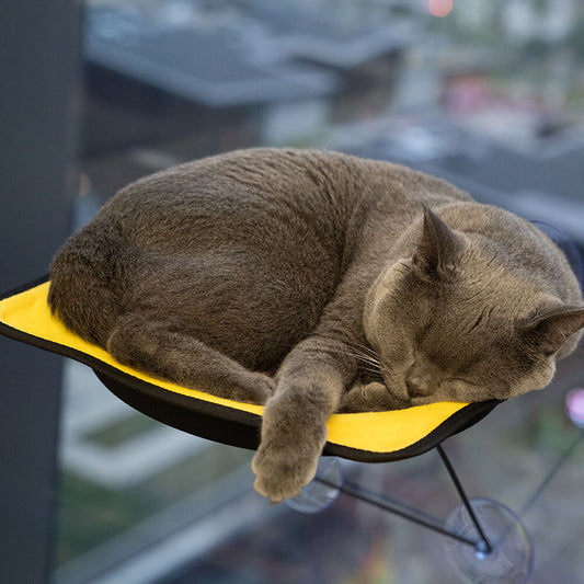 Window Perch Seat Suction Cups Cat Bed - Petmagicworld