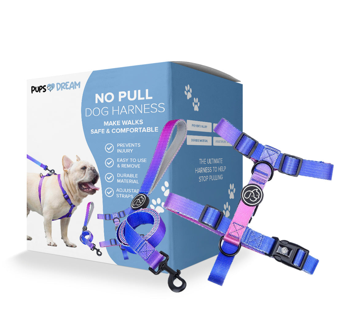 No Pull Dog Harness - Petmagicworld