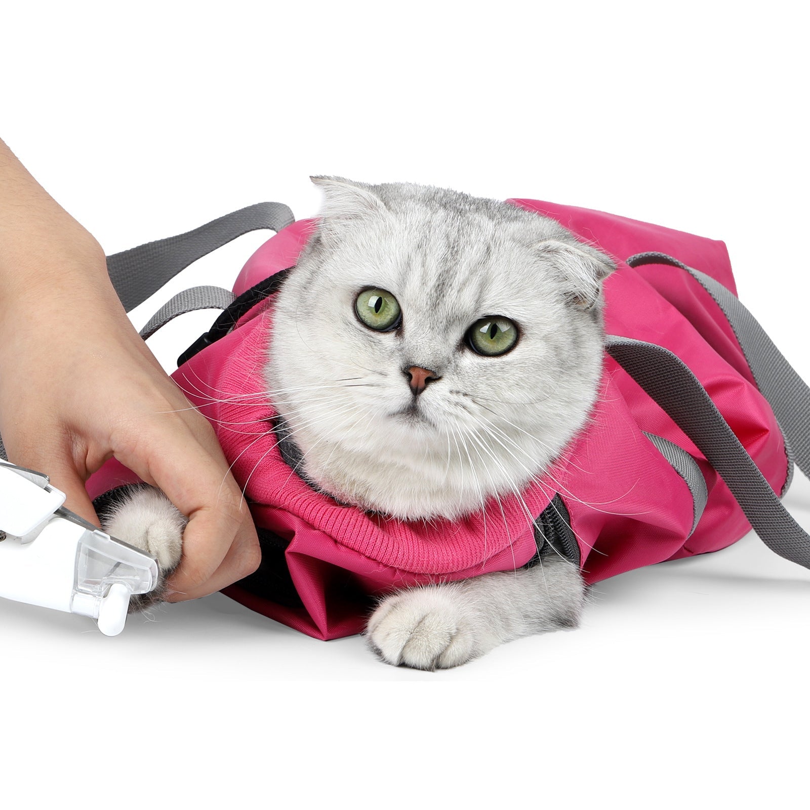 PurrfectCare Pet Grooming & Travel Bag - Petmagicworld