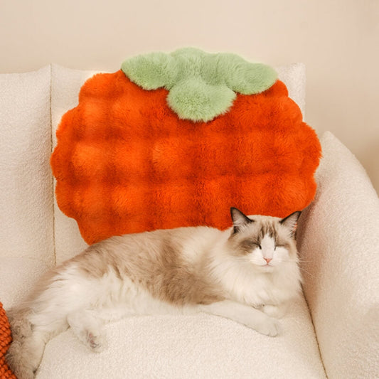 Persimmon Plush Pet Sleeping Pad - Petmagicworld