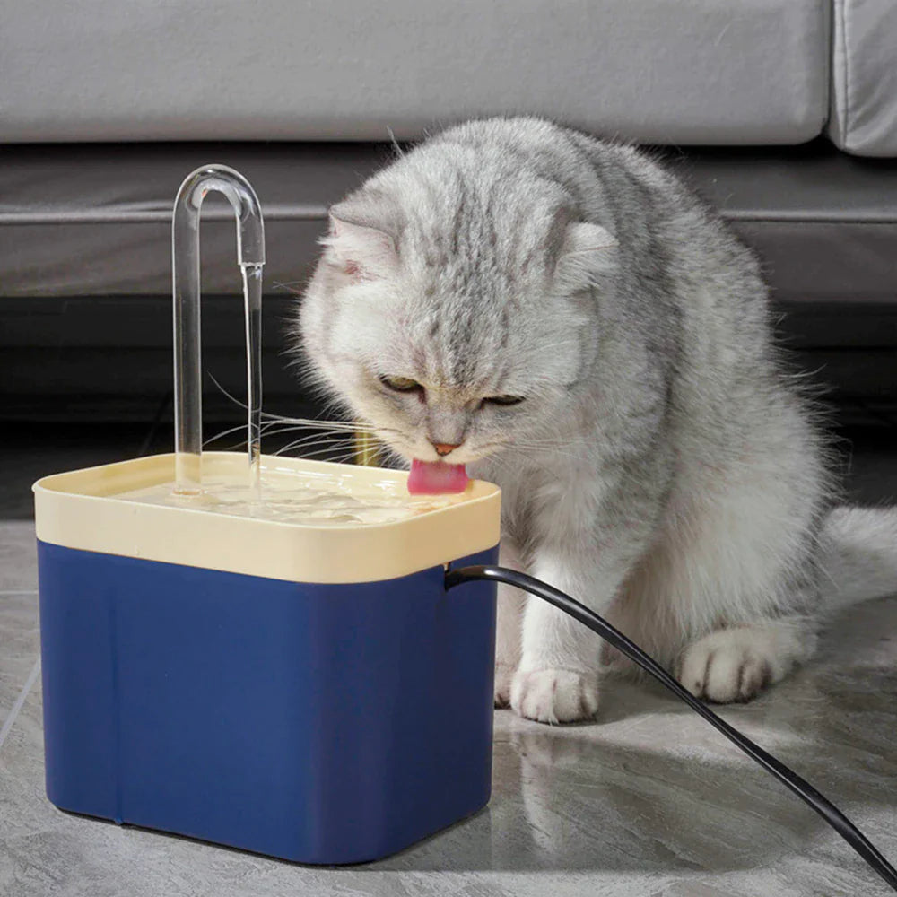 Filtered Cat Water Fountain