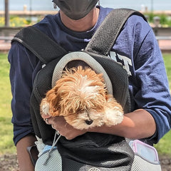 Dog Backpack - Petmagicworld