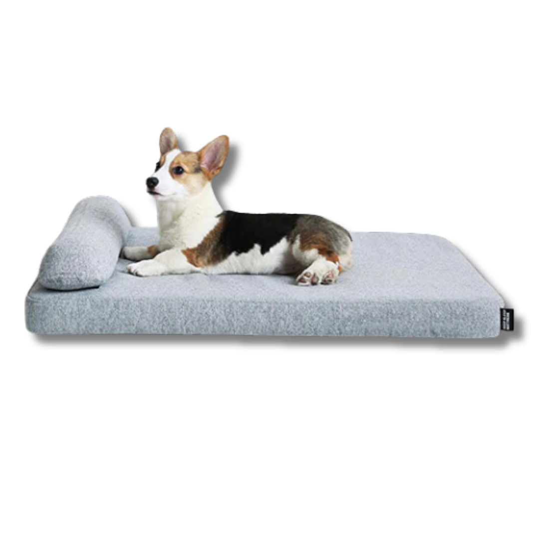 Deep Sleep Orthopaedic Dog Bed - Petmagicworld