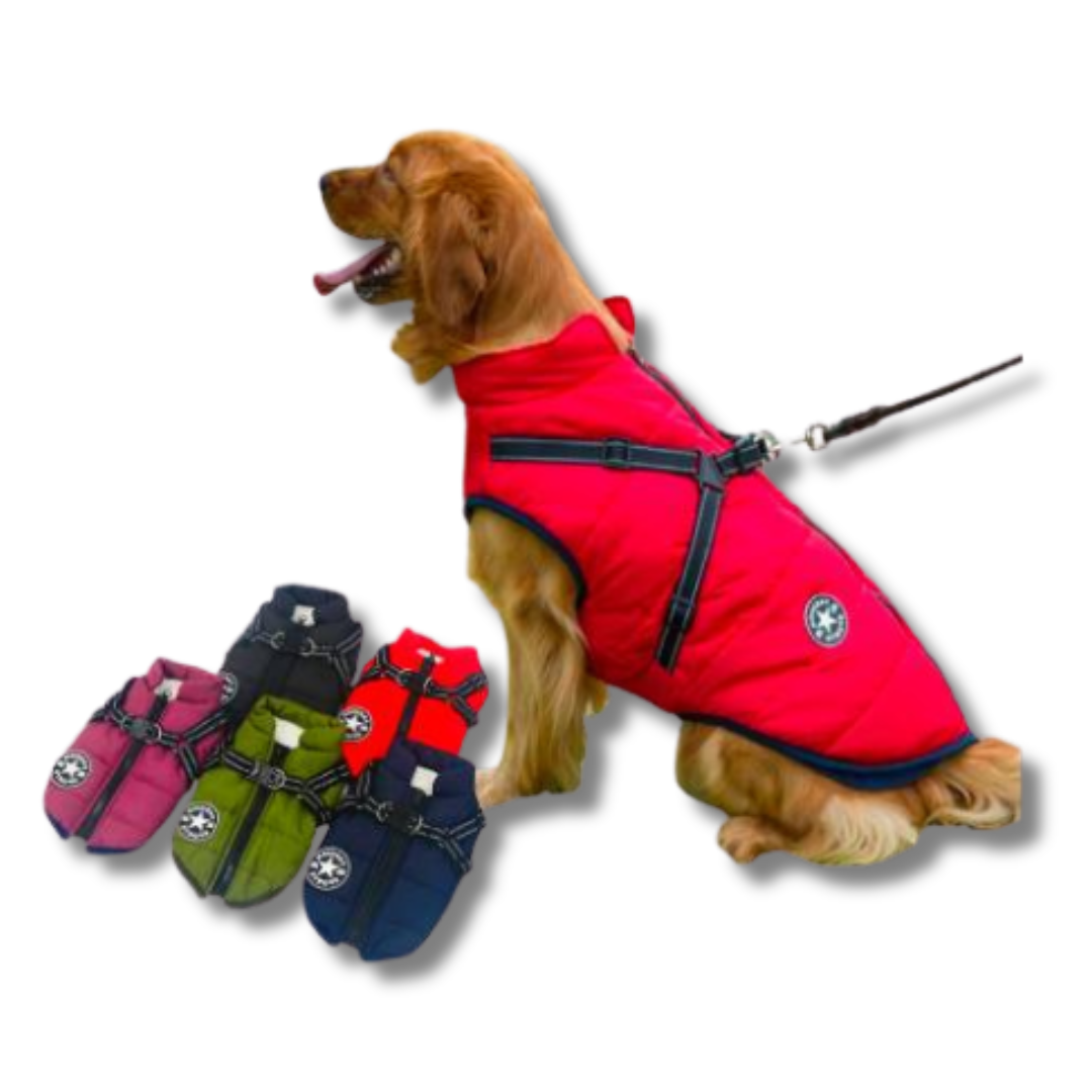 Waterproof Dog Jacket With Harness - Petmagicworld