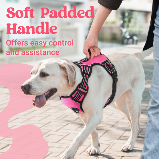 Adjustable Reflective Dog Harness with 3 Buckles - Petmagicworld