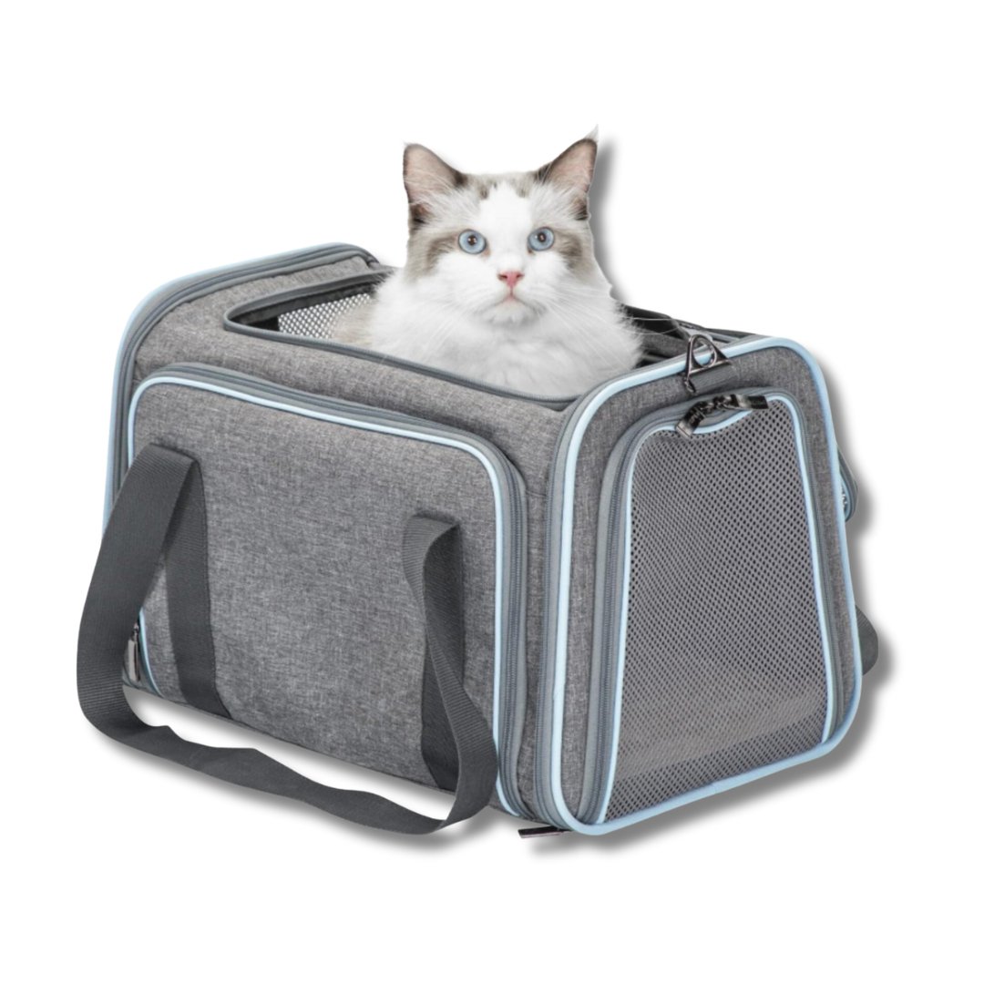 Airline Ready Dog & Cat Carrier - Petmagicworld