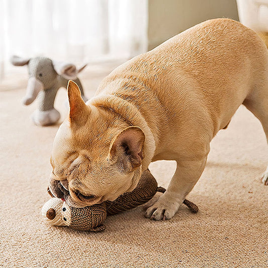 Animal Squeaky Plush Dog Toy - Petmagicworld