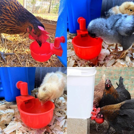 Automatic Chicken Water Cup - 5 Pcs Chicken Water Cup Automatic Drinker for Chickens - Petmagicworld