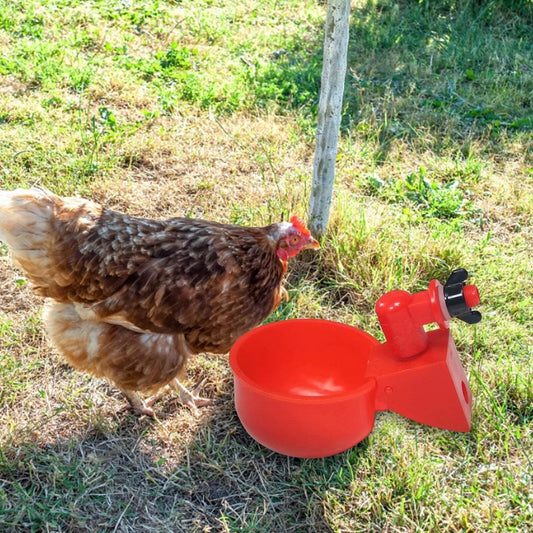 Automatic Chicken Water Cup - 5 Pcs Chicken Water Cup Automatic Drinker for Chickens - Petmagicworld