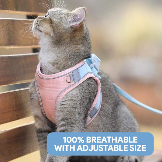 Breathable Cat Harness + Leash - Petmagicworld
