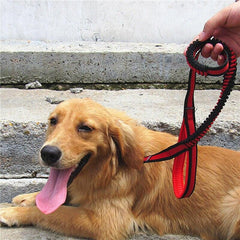 Bungee Dog Harness Leash - Petmagicworld