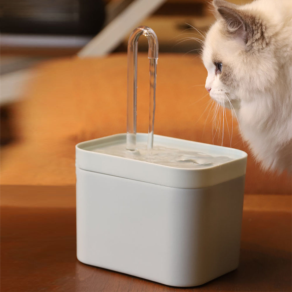 PurrFlow™ AquaStream - The Ultimate Cat Hydration Solution - Petmagicworld