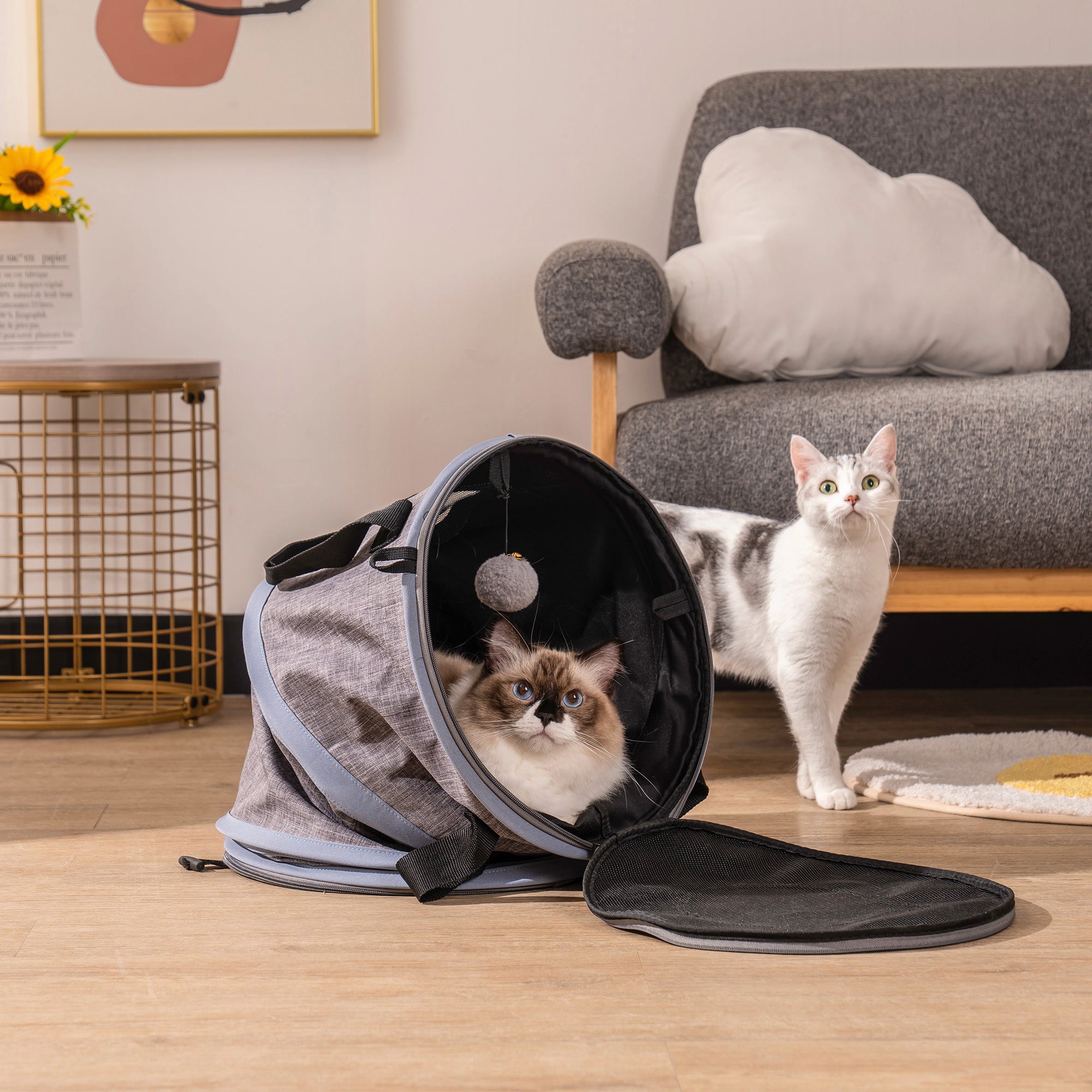 PetVenture™ 3-in-1 Cat Bag, Tunnel, and Carrier - Petmagicworld