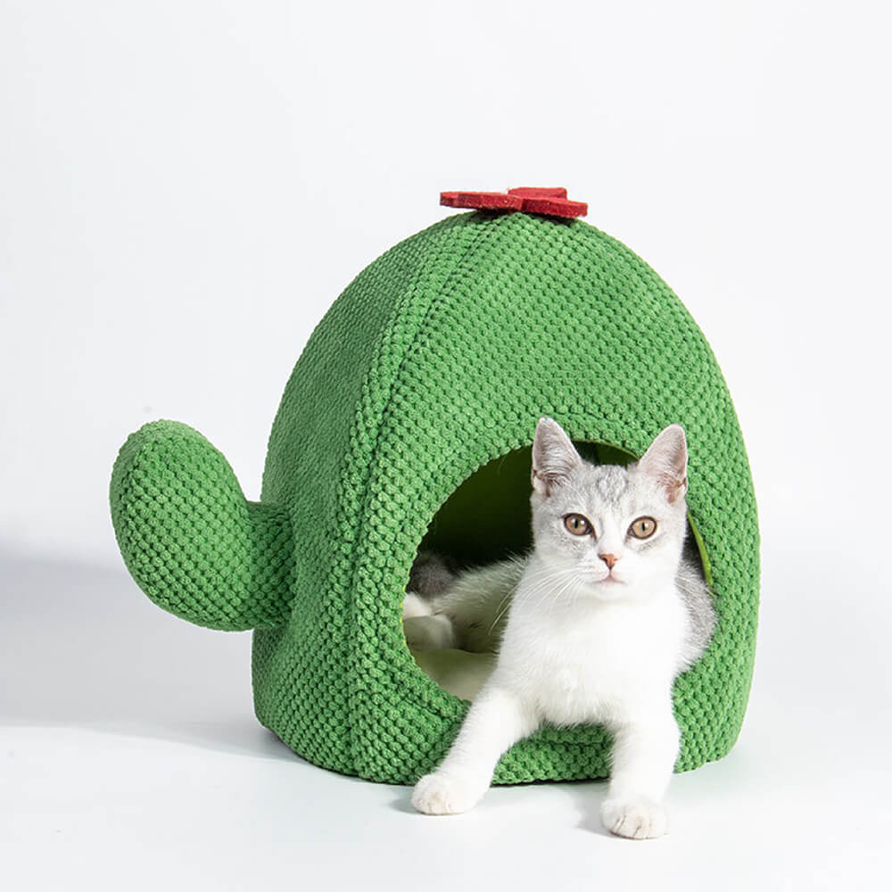 Cactus Shape Warm Cat Bed - Petmagicworld