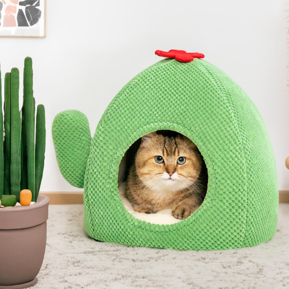Cactus Shape Warm Cat Bed - Petmagicworld