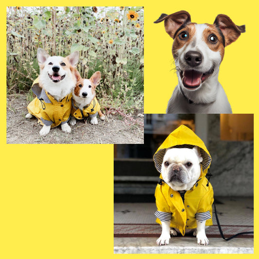 RetroRuff ™ Pet Raincoat - Petmagicworld