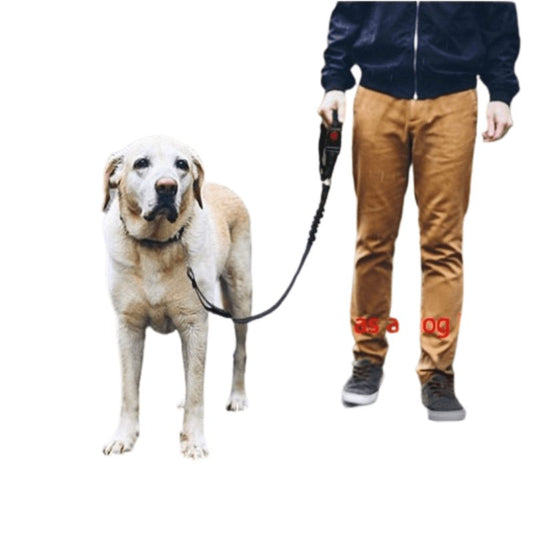 Car Seat Belt Dog Harness - Petmagicworld