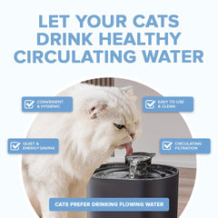 Cat Drinking Fountain with Waterflow™ Filter - Petmagicworld