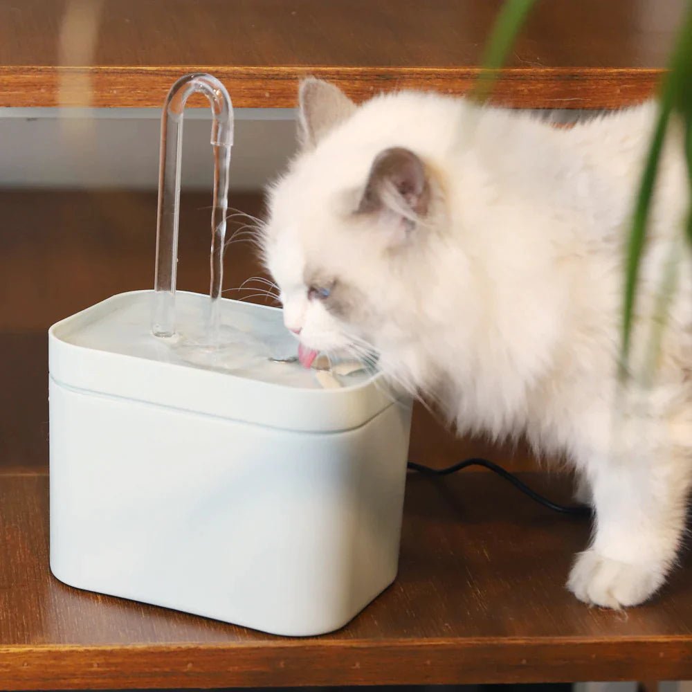 CatTap™ - #1 Best-Selling Cat Water Fountain With Filters - Petmagicworld