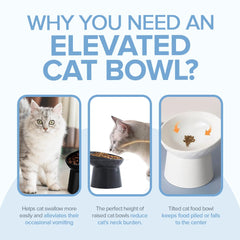 Ceramic Cat Bowl - Petmagicworld