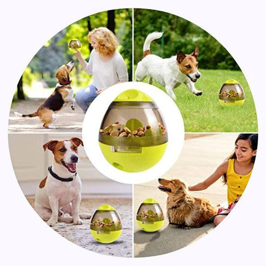 Chow-Chase™: The Fun Pet Food Dispenser Toy - Petmagicworld