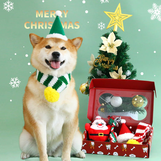 Christmas Fun Doggie Play Set with Hat, Scarf & Toy - Petmagicworld