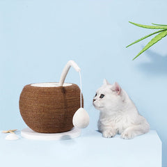 Coconut Cat Scratching Board Claw Sharpeners - Petmagicworld