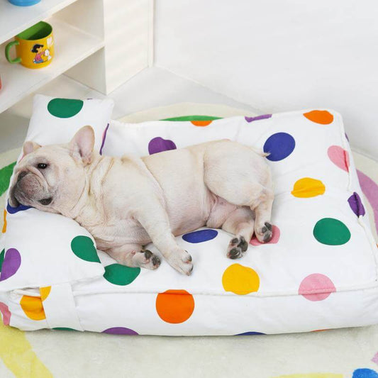 Colorful Dot Cozy And Playful Pillow Bed Calming Dog Bed - Petmagicworld