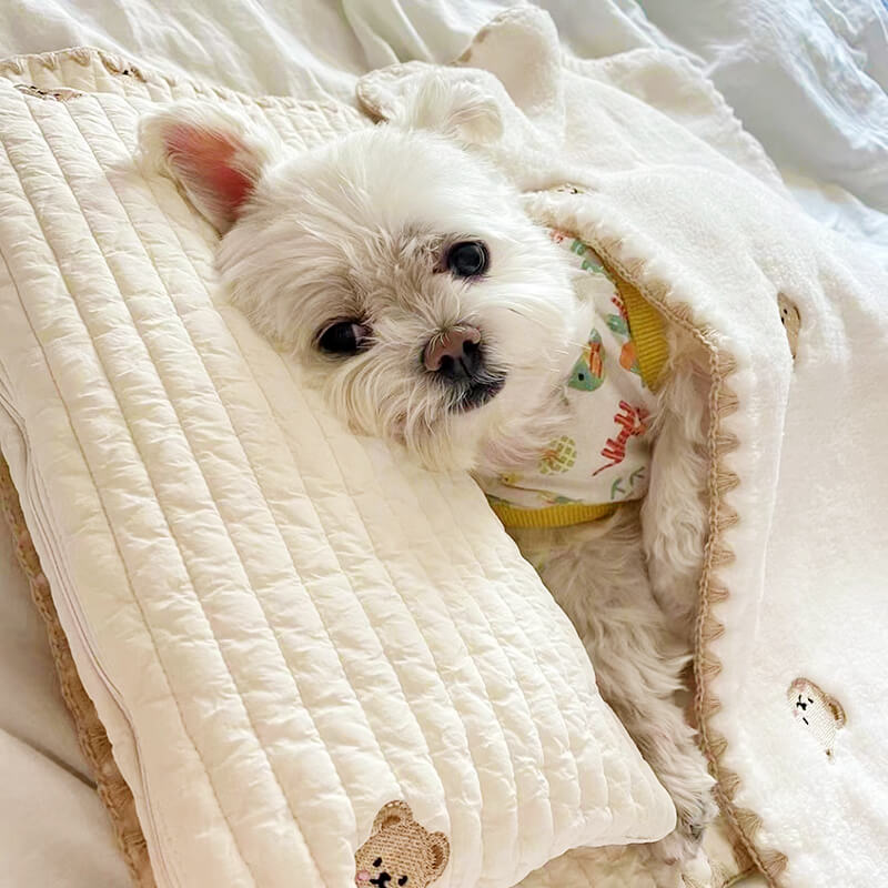 Cozy Embroidered Cotton Pet Pillow Quilt Bed Set - Petmagicworld