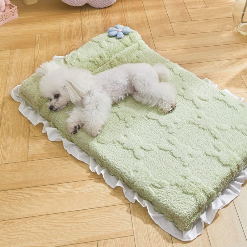 Cozy Plush Calming Bed Dog & Cat Bed - Petmagicworld