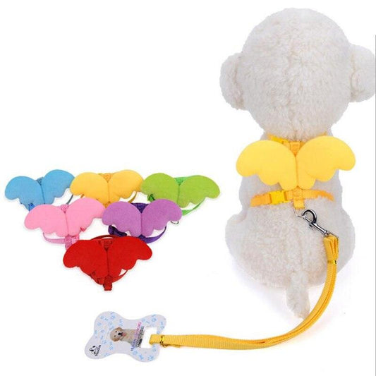 Cute Angel Pet Dog Leashes And Collars Set - Petmagicworld