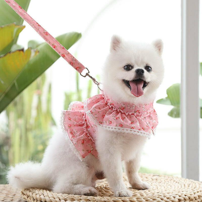 Cute Vest Harness And Leashes - Petmagicworld